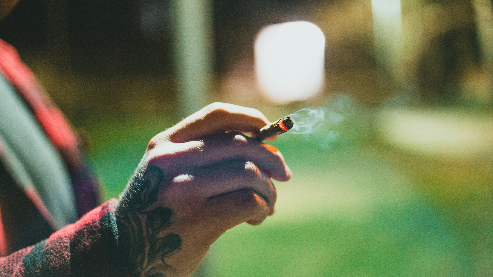 Trump Rescheduling Marijuana Would Be An ‘Important Domino’ Toward Passing Cannabis Banking Bill, GOP Senate Sponsor Says