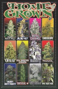 cannabis art