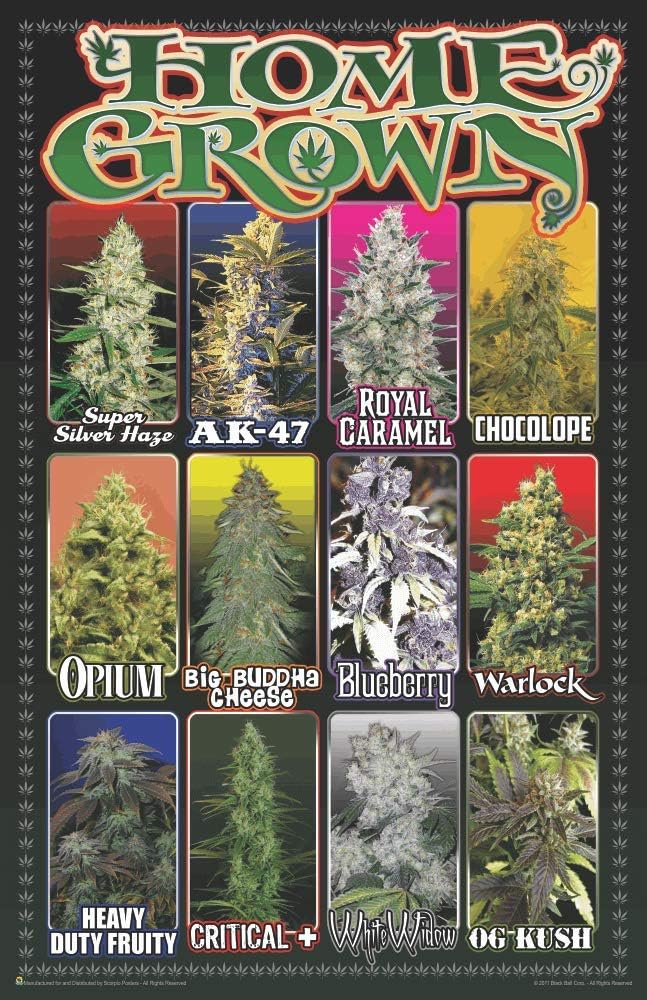 cannabis art