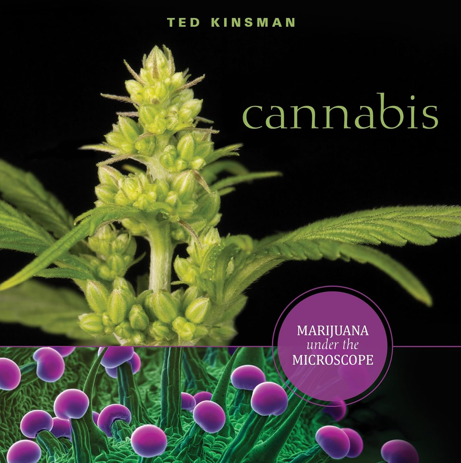 cannabis book