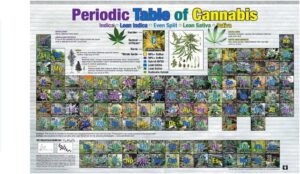 cannabis art