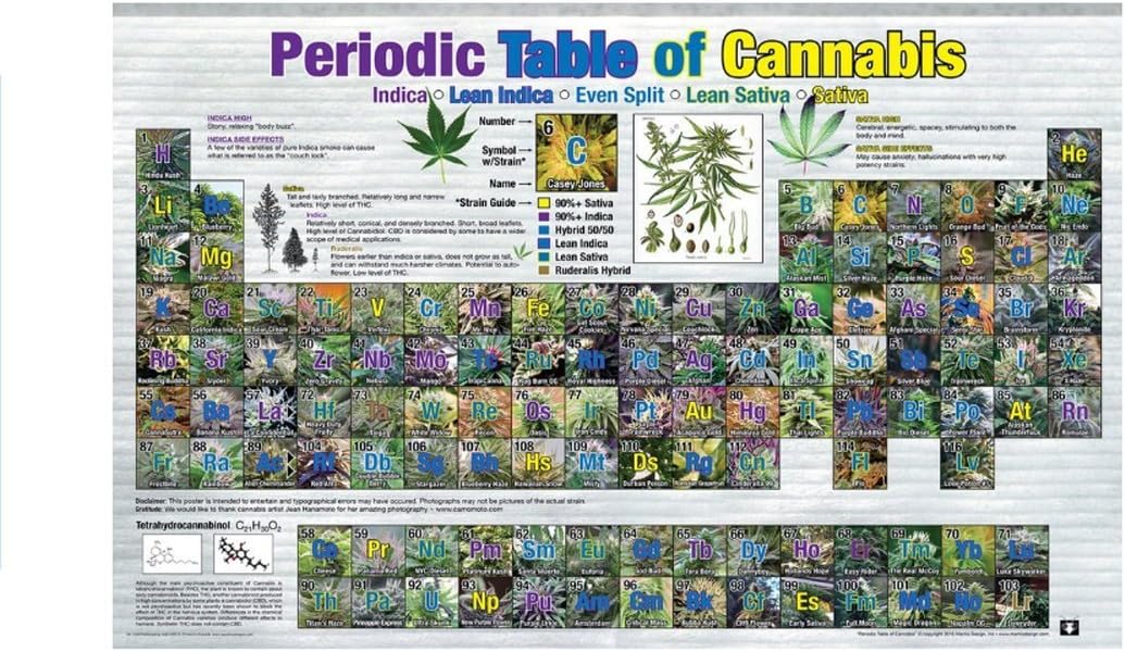 cannabis art