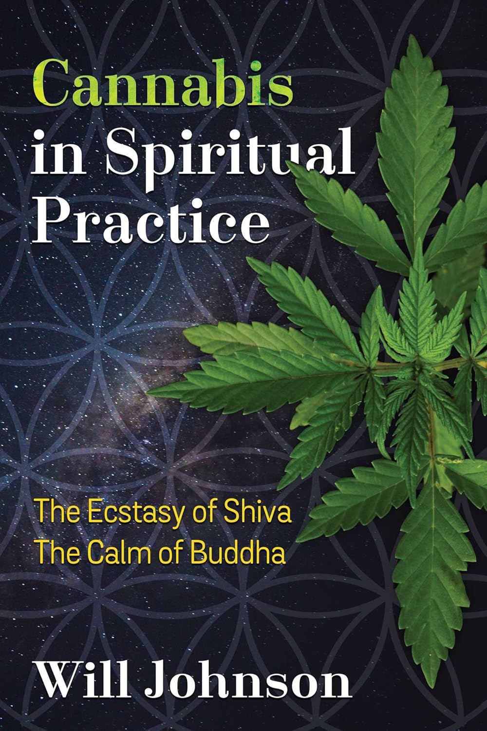 cannabis book