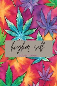 cannabis book