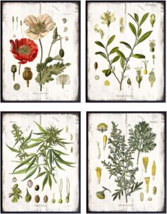 cannabis art
