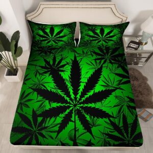 cannabis