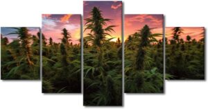 cannabis art