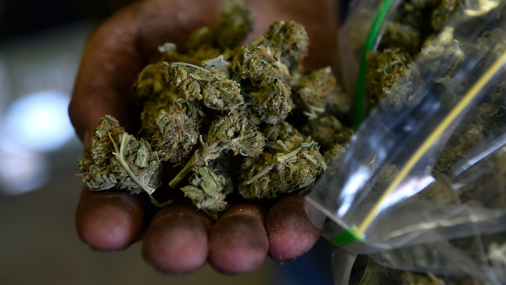 California Cannabis’s Testing Labs Commitment to Meeting New DCC Cannabis Testing Regulations