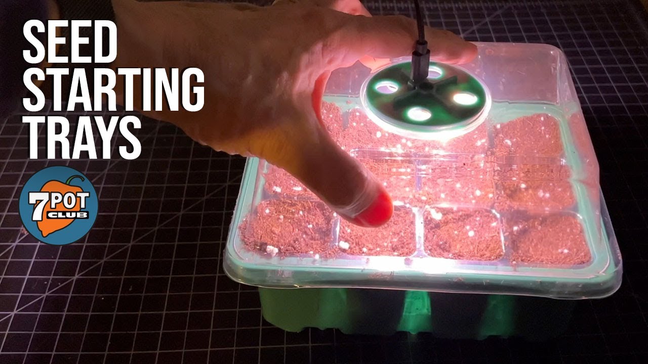 PatioGem Seed Starter Kits with Trays, Domes and Accessories