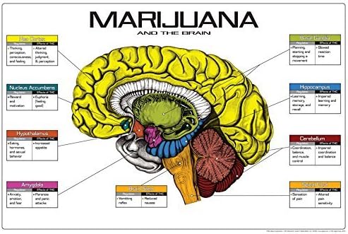 marijuana art
