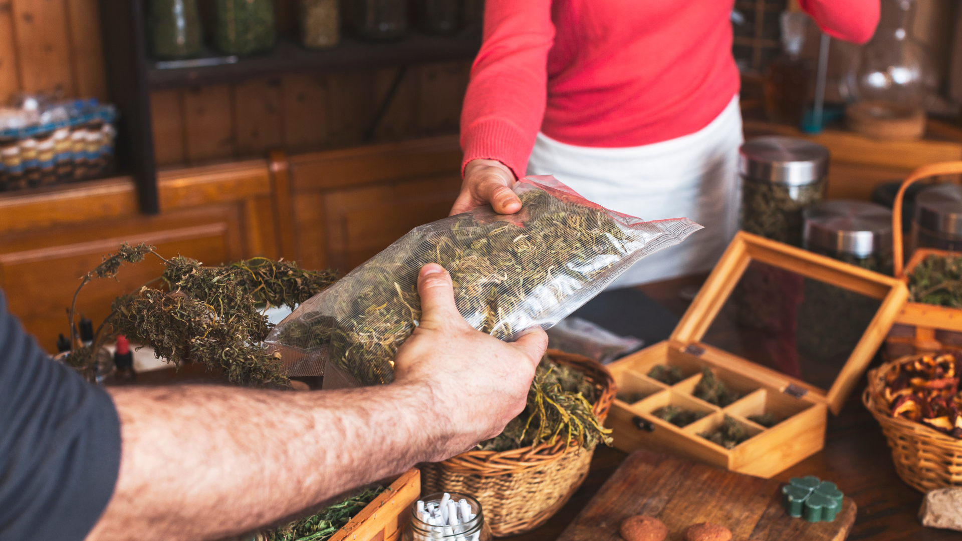 Majority Of Americans Say Marijuana Isn’t ‘Dangerous’ As Trump Decides On Rescheduling, New Poll Shows