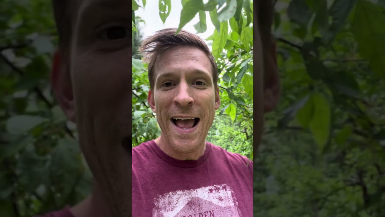 Stuart Knechtle | The Bible Does Not Say That Smoking Weed Is A Good Thing | Give Me an Answer