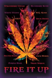 cannabis art