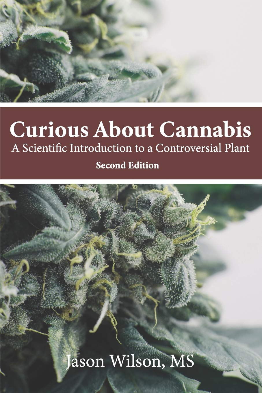 cannabis book