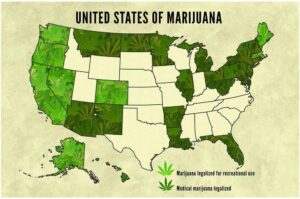 cannabis art