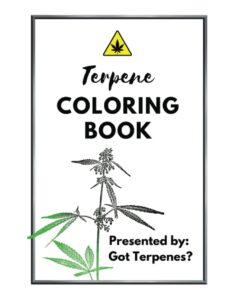 cannabis book
