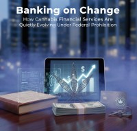 Banking on Change: How Cannabis Financial Services Are Quietly Evolving Under Federal Prohibition