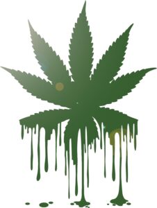 cannabis art