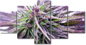 marijuana art