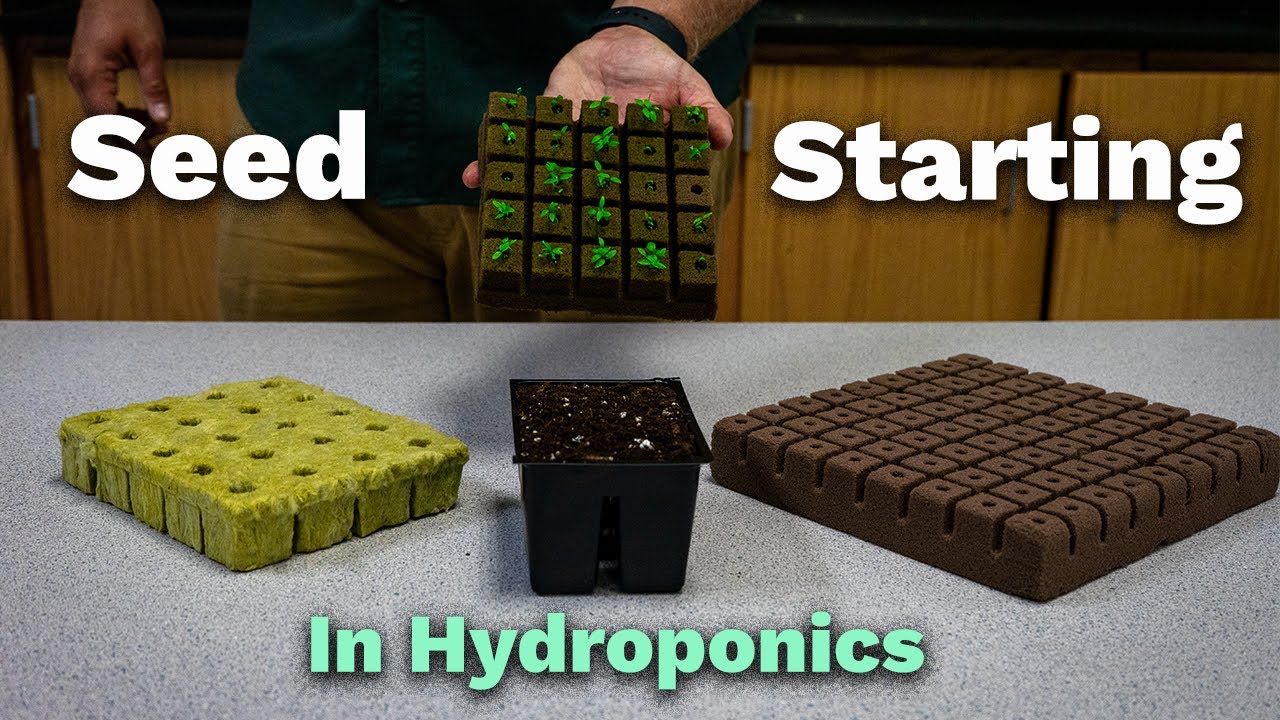 How to start seeds in Hydroponics