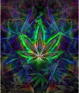 cannabis art