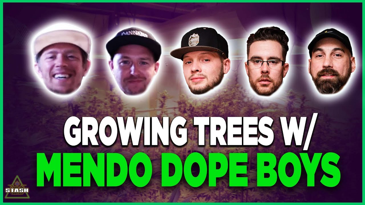 Growing Outdoor Trees w/ Mendo Dope! - From The Stash Podcast Ep. 93