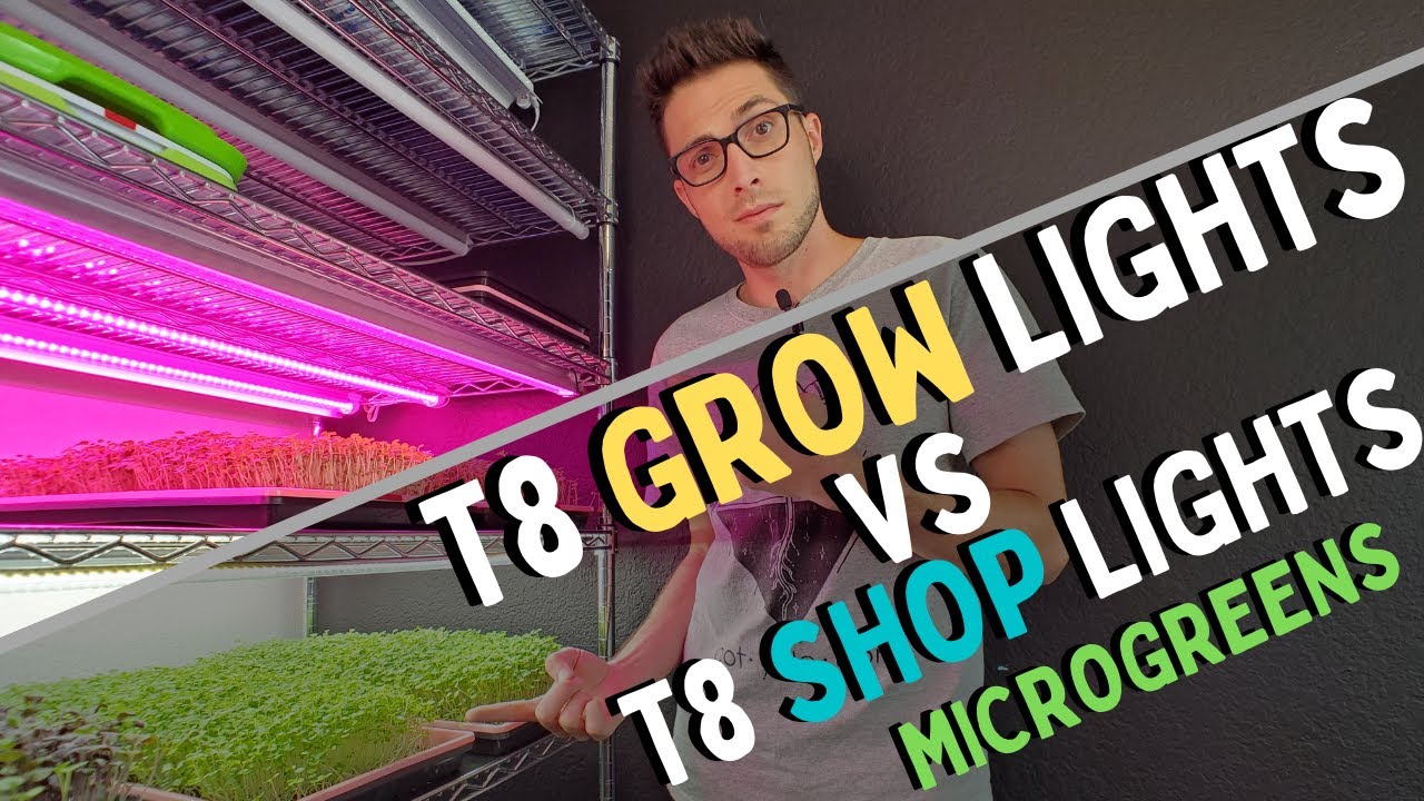 LED GROW LIGHTS vs GARAGE LIGHTS - Microgreen Lighting - Turnip