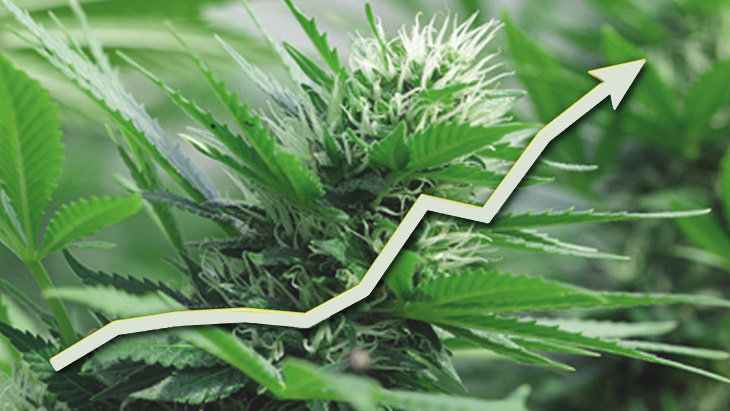 Emerson College Poll: Two-Thirds of Voters Say Legalizing Marijuana Nationally Is a “Good Idea”