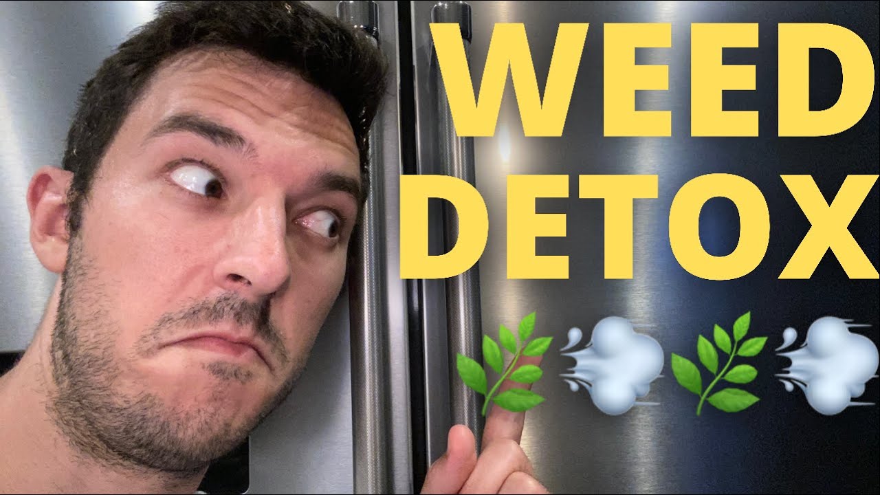 Weed Detox And Addiction Recovery Foods (Cant Eat? Try This!!)