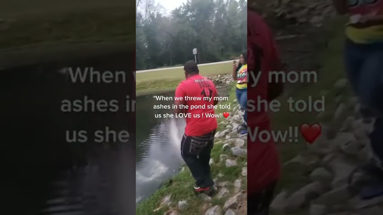 Ashes Spell Out 'Love' On Being Scattered In Pond - 1293844