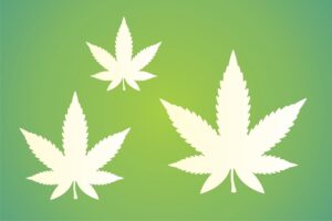 marijuana art
