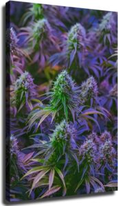marijuana art