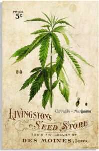 marijuana art