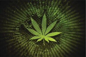 cannabis art