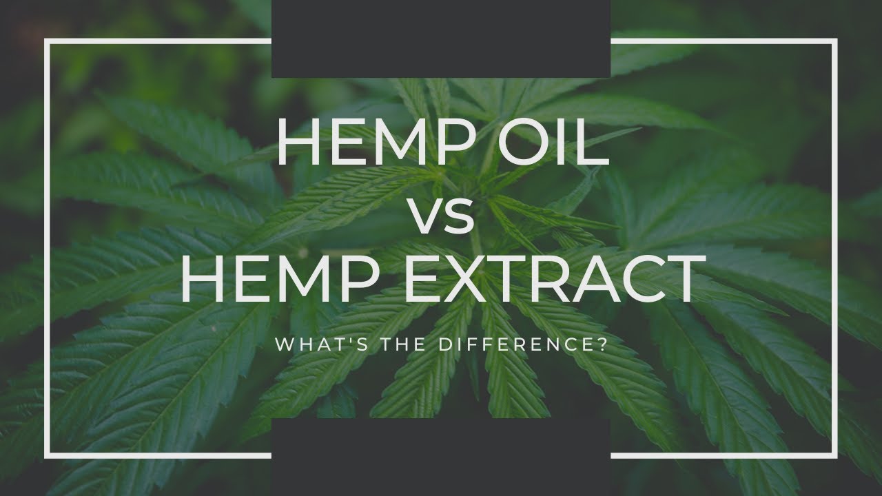 DIFFERENCE BETWEEN HEMP OIL AND HEMP EXTRACT