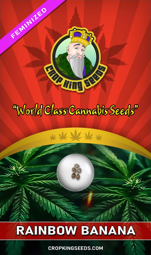 Rainbow Banana Feminized Seeds