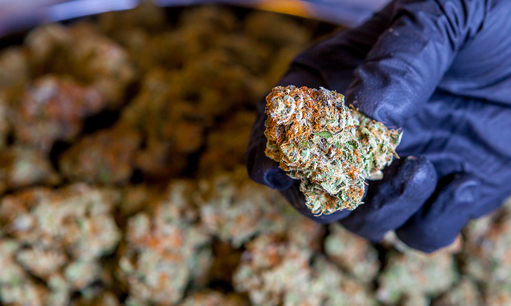 Which European Countries Will Legalize Cannabis Next?