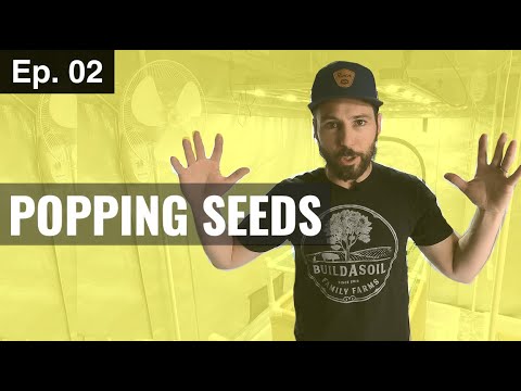 HOW TO GERMINATE SEEDS DIRECTLY IN SOIL Season 3, Episode 2