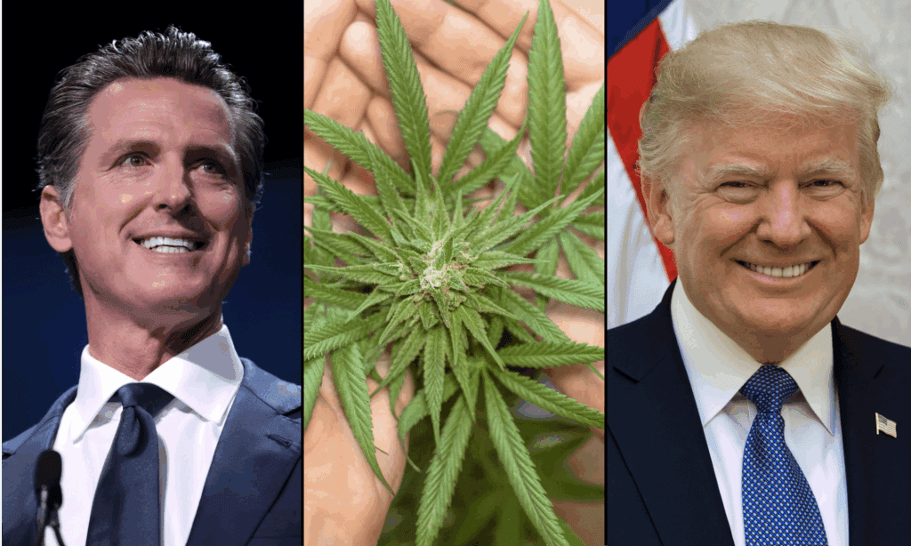 Gavin Newsom Jokes He’ll Legalize Marijuana As ‘Leader Of The Free World’ And Get People ‘High On Patriotism’ Amid Federal Shutdown