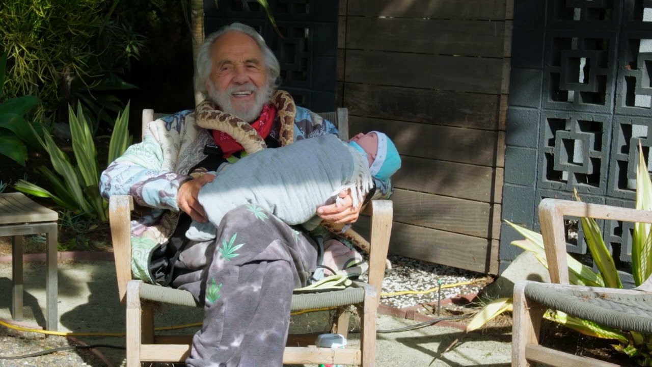 The Postman Is The New Plug (A Cheech & Chong Documentary)