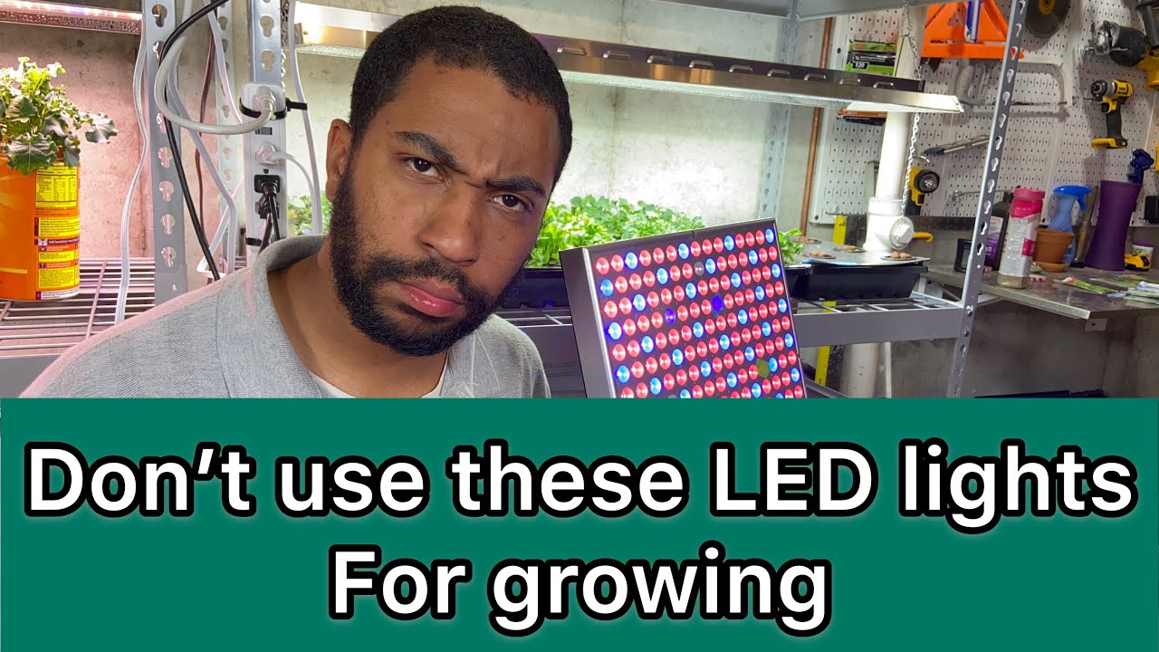 Don’t use these grow lights for your indoor plants