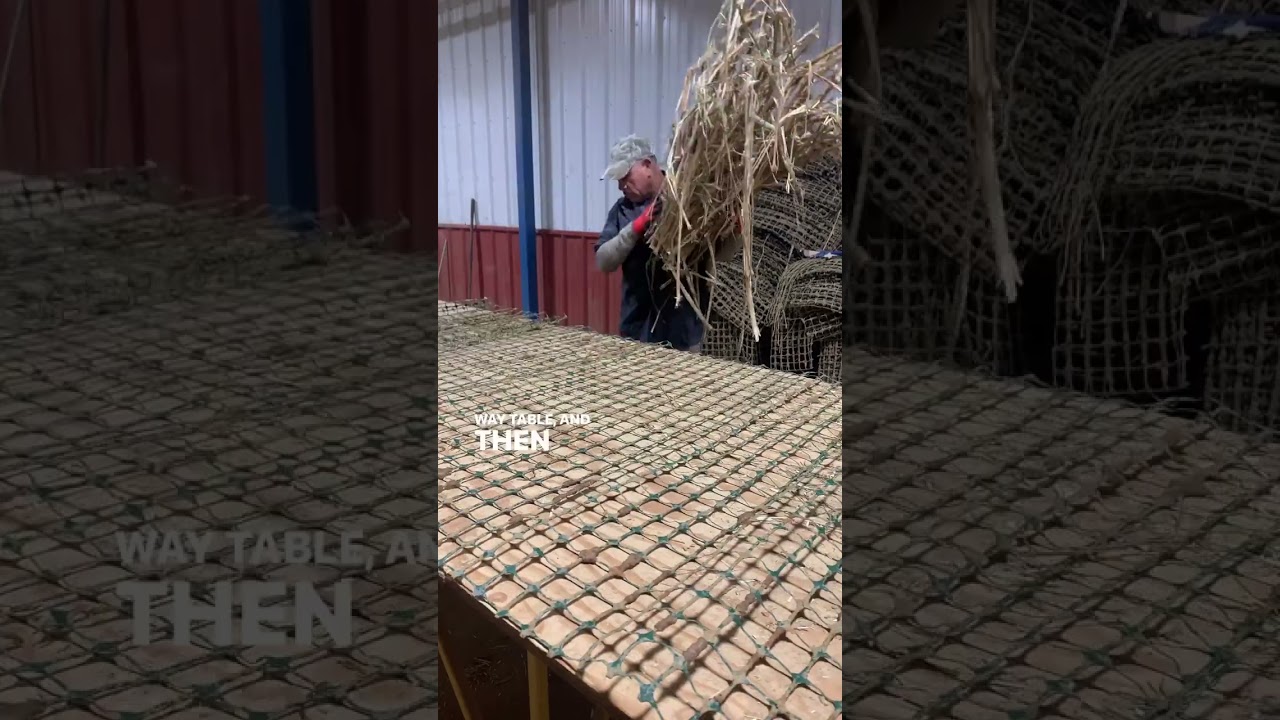 EP1: How the heck do we make HempWood?