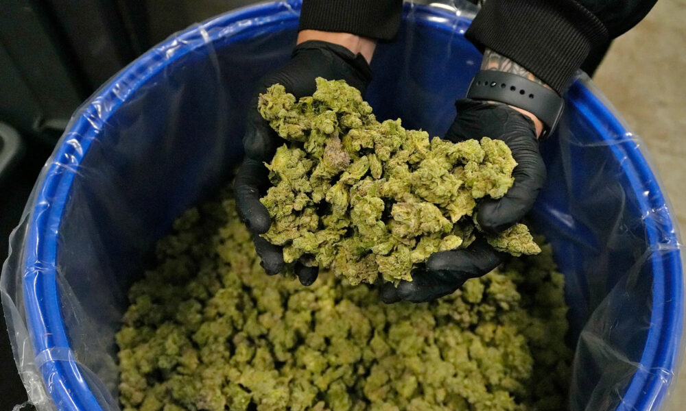 Lawsuit Claims Ohio Marijuana Rules On Advertising, Products Violate Voter-Backed Law