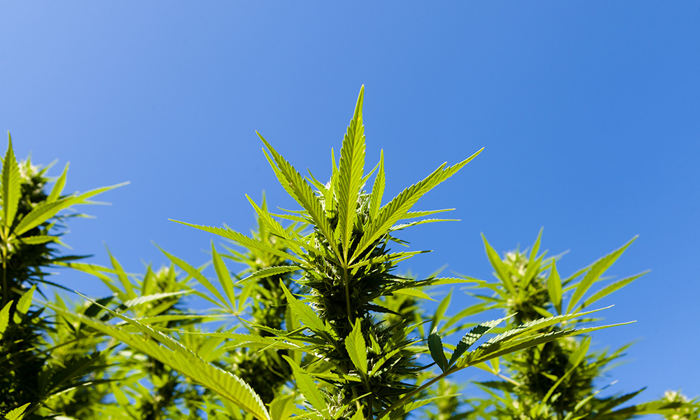 How to Take a Tolerance Break