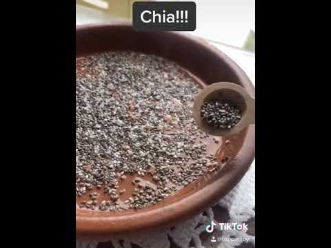 Chia can sprout make ur own juice and salad