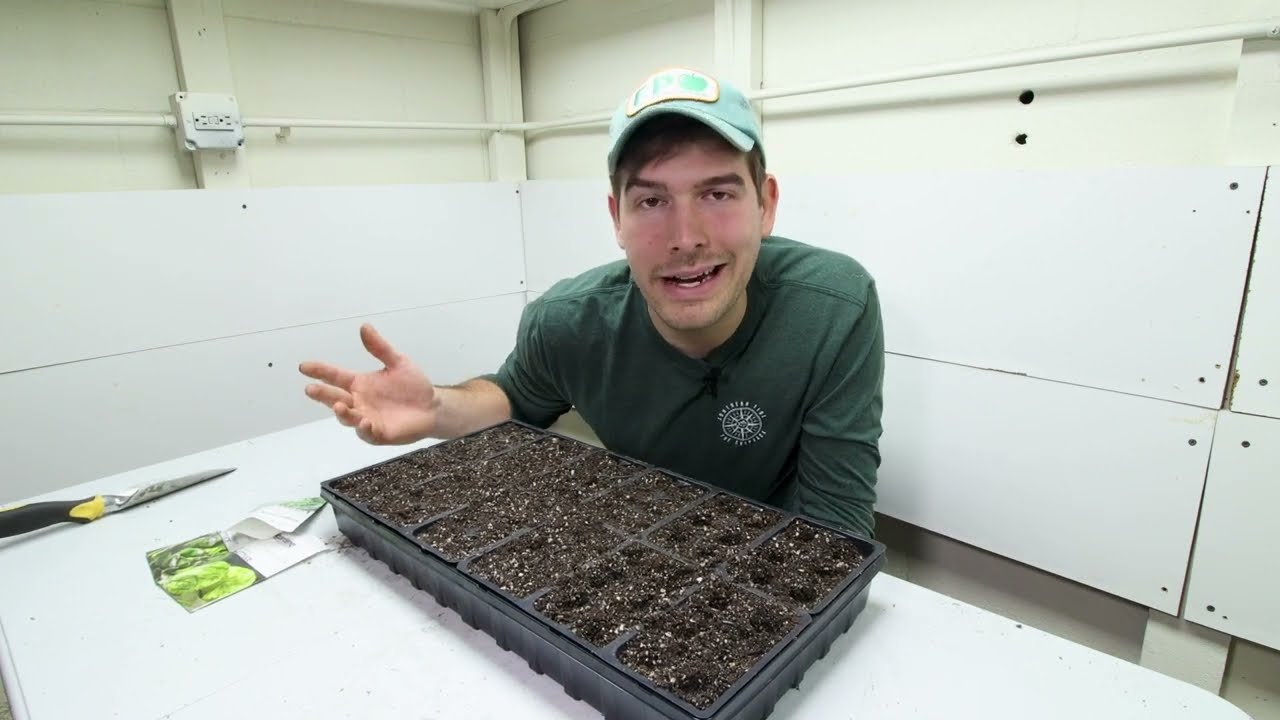 When + When NOT to Use a Heat Mat and Humidity Dome For Seed Starting