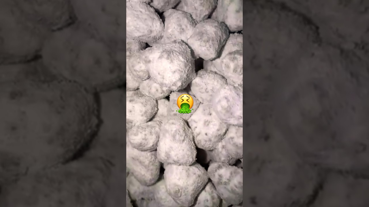 What are SNOWBALLS? 🍃🤮🫷