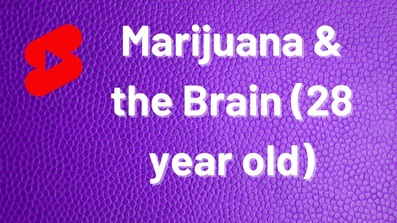 Marijuana & the Brain (28 year old)