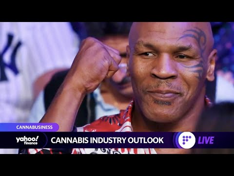 Cannabis execs discuss working with legendary Mike Tyson on ear-shaped edibles