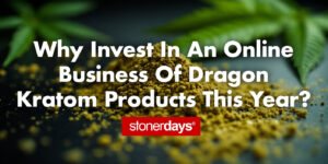 Why Invest In An Online Business Of Dragon Kratom Products This Year?